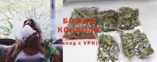 mdpv Богородицк