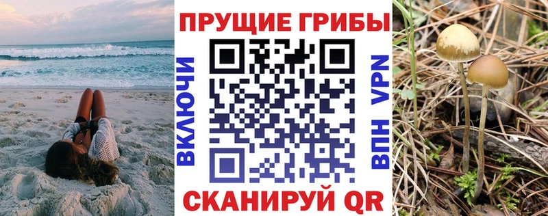 закладка  Мценск  Галлюциногенные грибы мицелий 